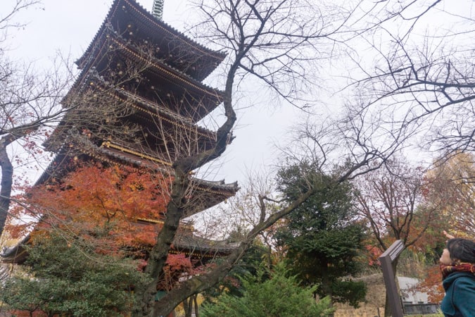 20151215-DSC00283