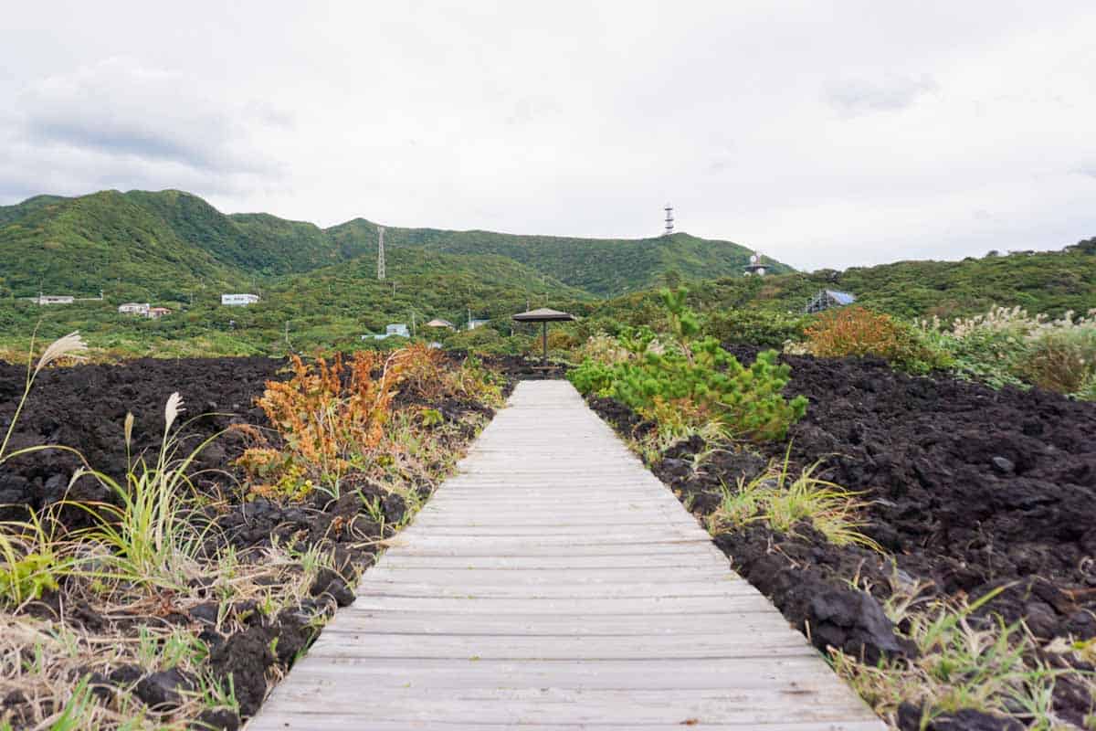 三宅島「火山体験遊歩道」①