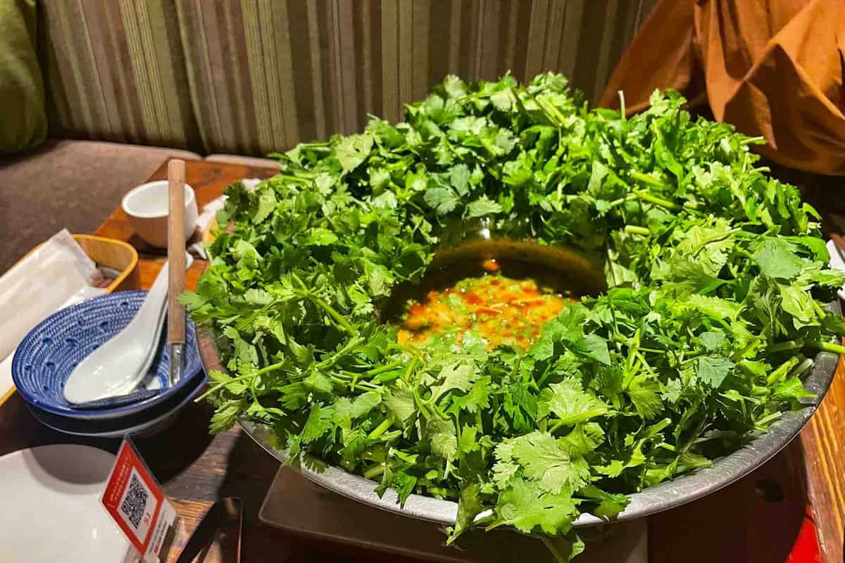 カフェRAMBUTAN「爆盛りパクチーと水菜のトムヤムクン鍋」
